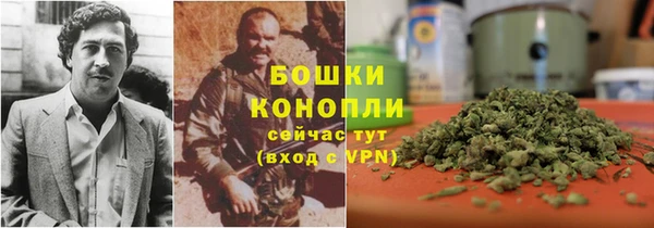 MESCALINE Вяземский