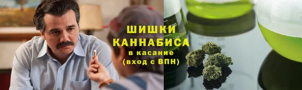 MESCALINE Вяземский